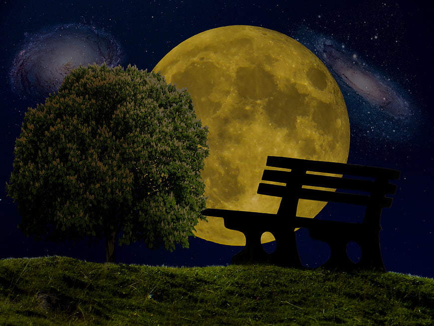 Digital Art of Giant Moon, Tree, and Park Bench at Night