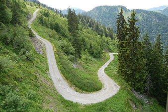 Winding Gravel Road Through Green Mountain Forest
