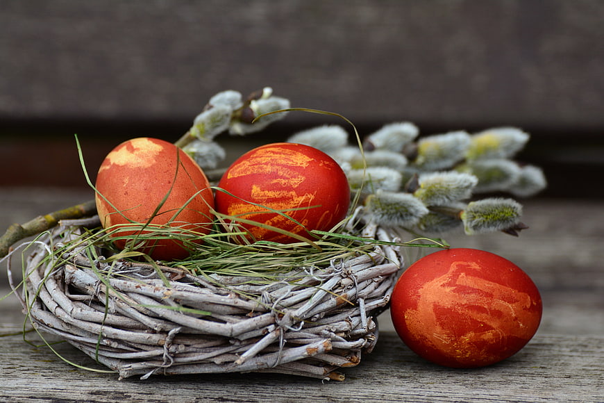 Hand-dyed Easter eggs in a twig nest with pussy willow