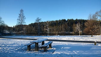 Snowy picnic table by a frozen lake in winter