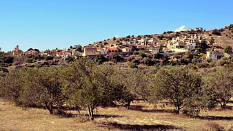Traditional Mediterranean village on a hill with olive groves
