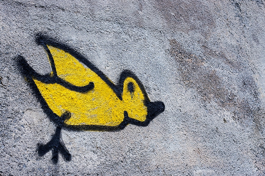 Yellow bird graffiti art on textured concrete wall