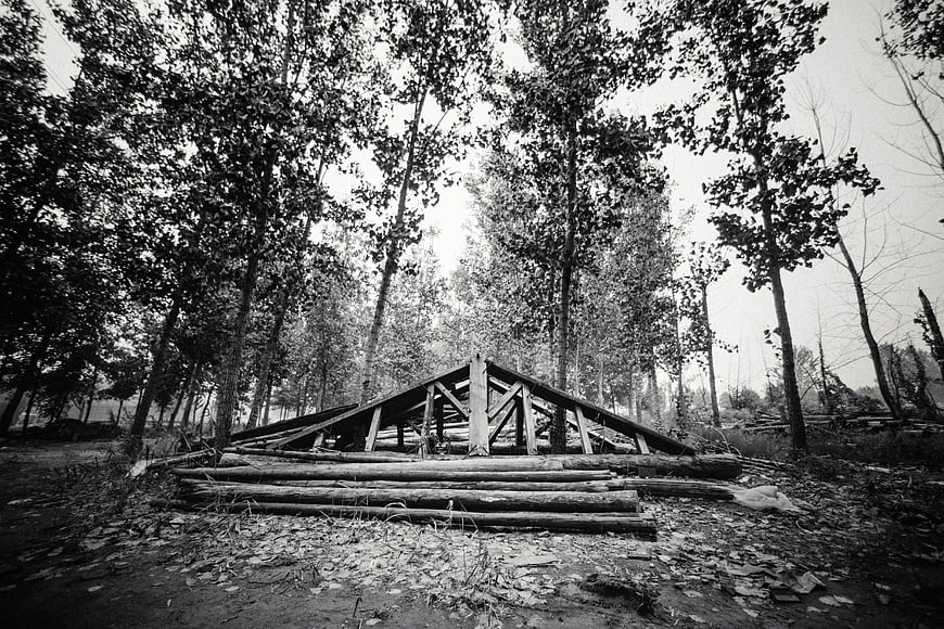 Black and white photo of wooden roof truss in forest
