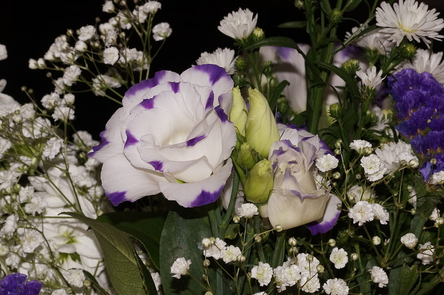 White and Purple Eustoma Floral Bouquet Close-Up