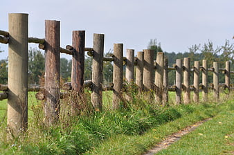 Rustic wooden fence along a grassy hiking trail in summer
