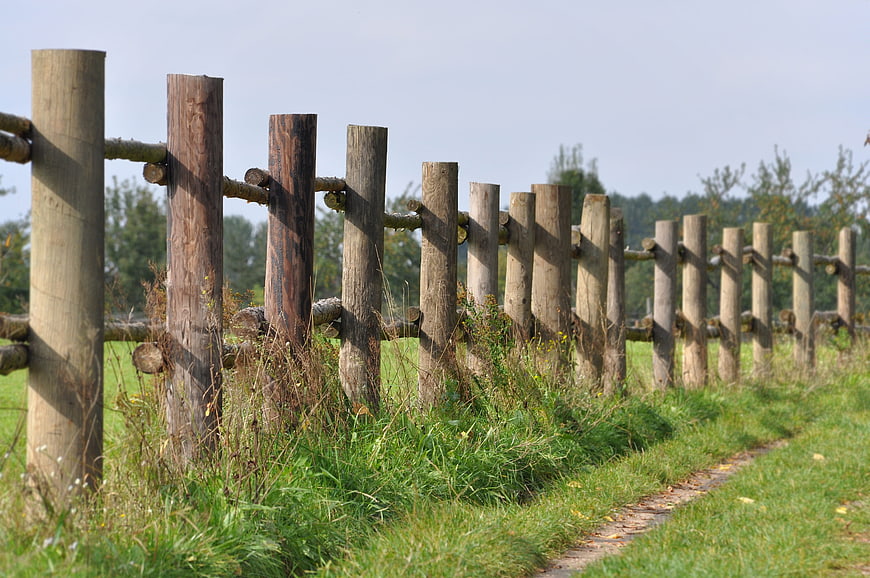 Rustic wooden fence along a grassy hiking trail in summer