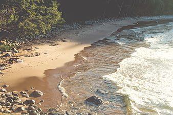Sandy beach shoreline with crashing waves and forest edge