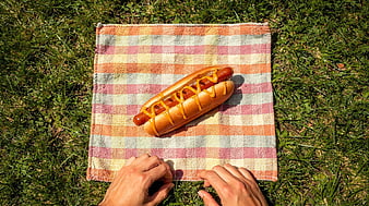 Hot Dog with Mustard on Plaid Picnic Blanket