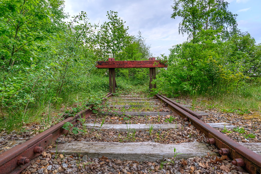 Overgrown Abandoned Railway Tracks in Forest