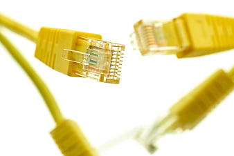 Close-up of yellow ethernet cable connectors on white background