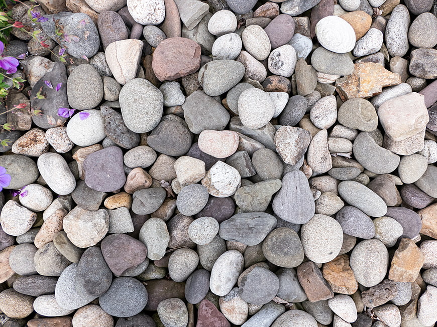 Top view of smooth gray river stones with purple flowers
