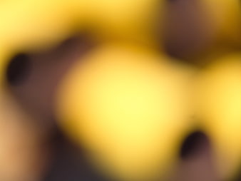 Abstract Yellow and Brown Blurred Background