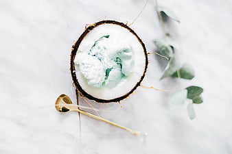 Coconut Ice Cream Sorbet in Half Coconut on White Marble