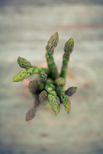 Top View of Fresh Green Asparagus Spears on Wooden Background