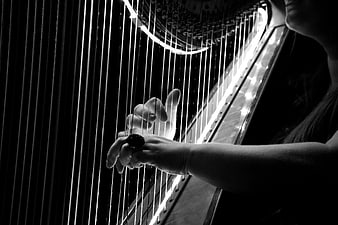 Black and white close-up of hands playing a concert harp