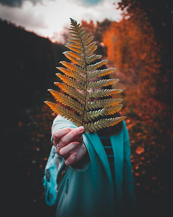 Woman holding golden fern leaf in autumn forest