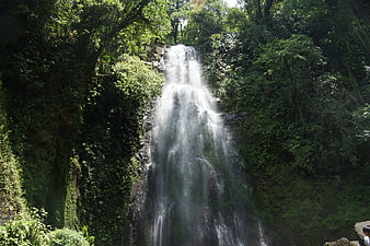 Lush Tropical Waterfall Cascading Through Dense Green Forest