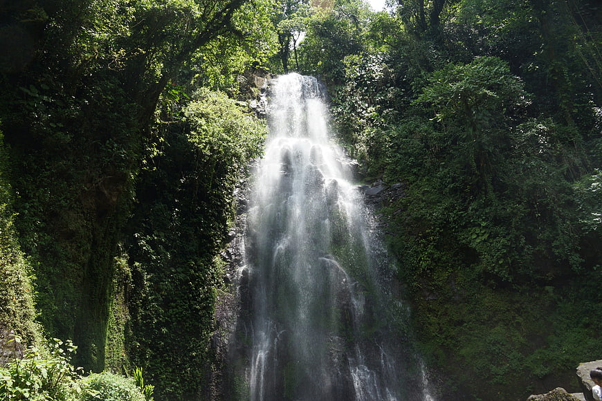 Lush Tropical Waterfall Cascading Through Dense Green Forest