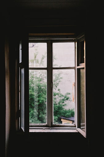 Open window in dark room looking out at green trees