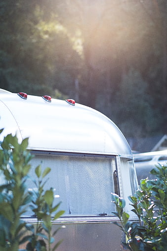 Vintage Silver Airstream Camper in Forest Sunlight