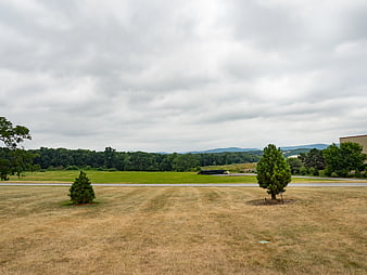 Dry grassy field with trees and distant mountains under cloudy sky