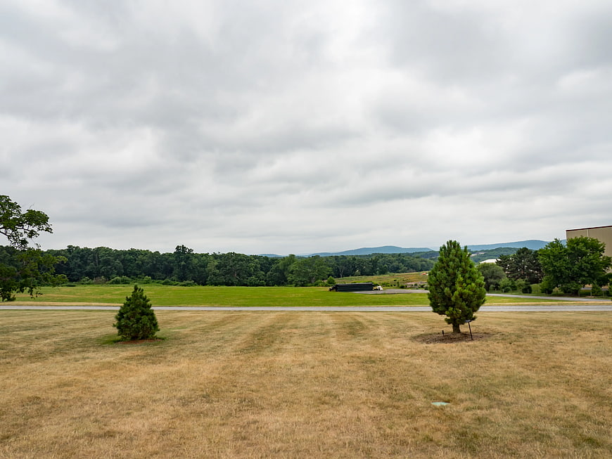 Dry grassy field with trees and distant mountains under cloudy sky