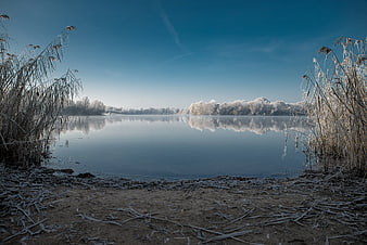 Frosty Winter Lake Landscape with Reeds and Reflection