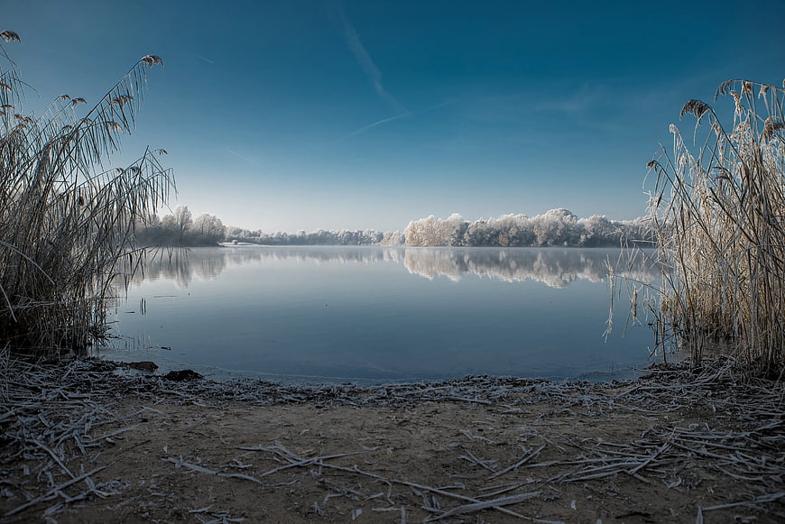 Frosty Winter Lake Landscape with Reeds and Reflection