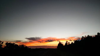 Vibrant sunset sky with silhouetted trees and clouds