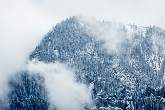Snowy Mountain Peak Shrouded in Thick Winter Fog