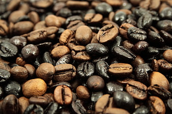 Close-up of roasted coffee beans with oily texture