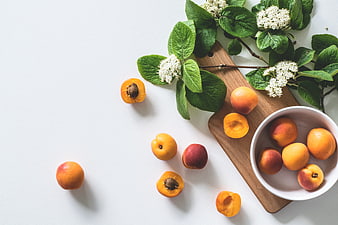 Fresh Apricots and Elderflower Branches on White Background