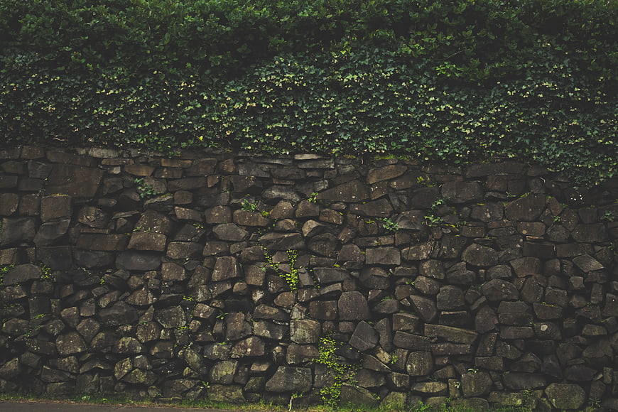 Textured Stone Wall with Green Ivy Hedge Background