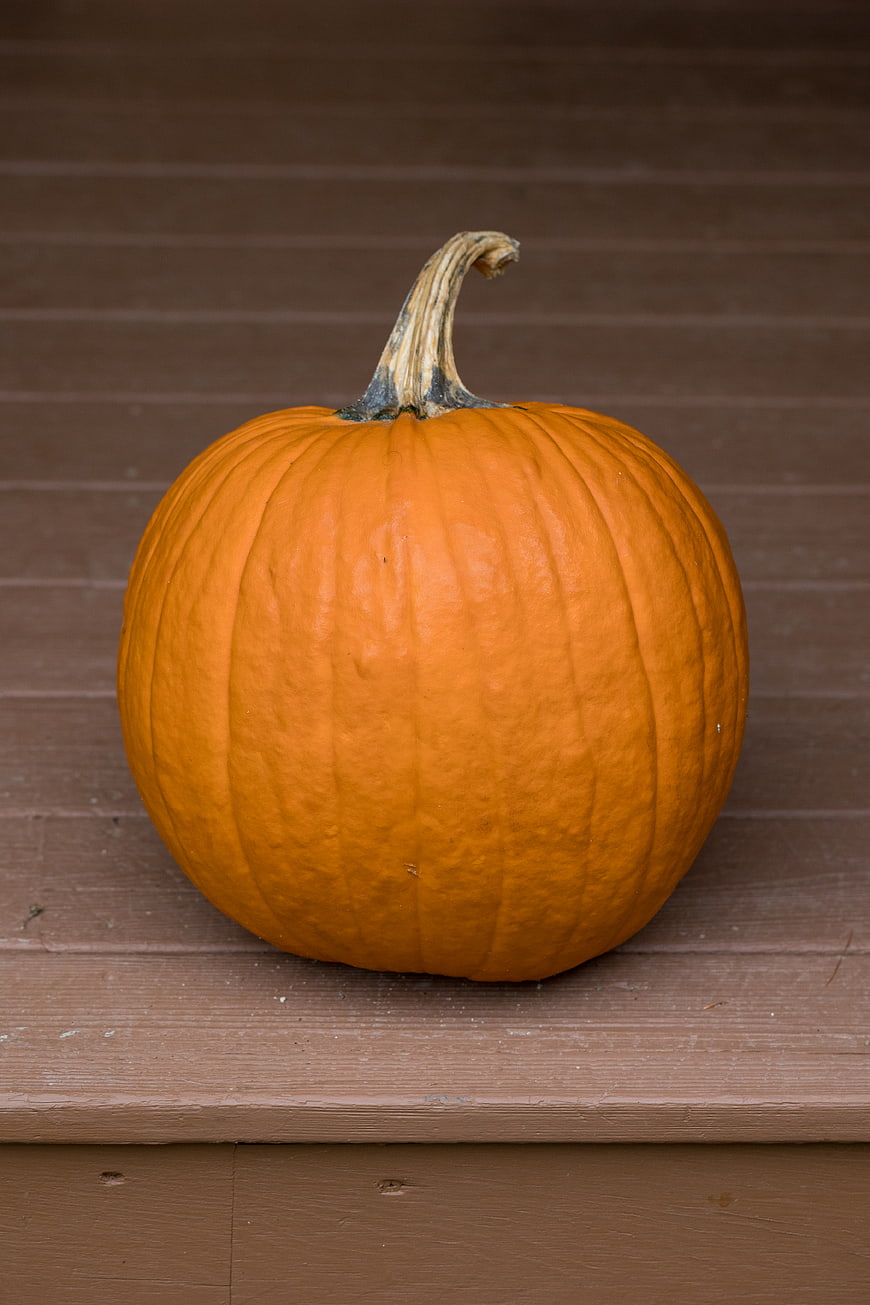 Single Orange Pumpkin on Wooden Deck