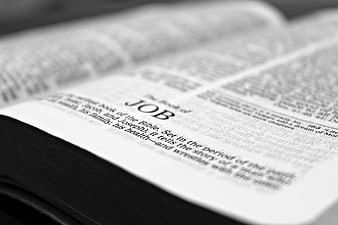 Close-up of open Bible showing the Book of Job