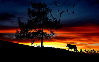 Silhouette of Dog and Tree Against Dramatic Sunset Sky