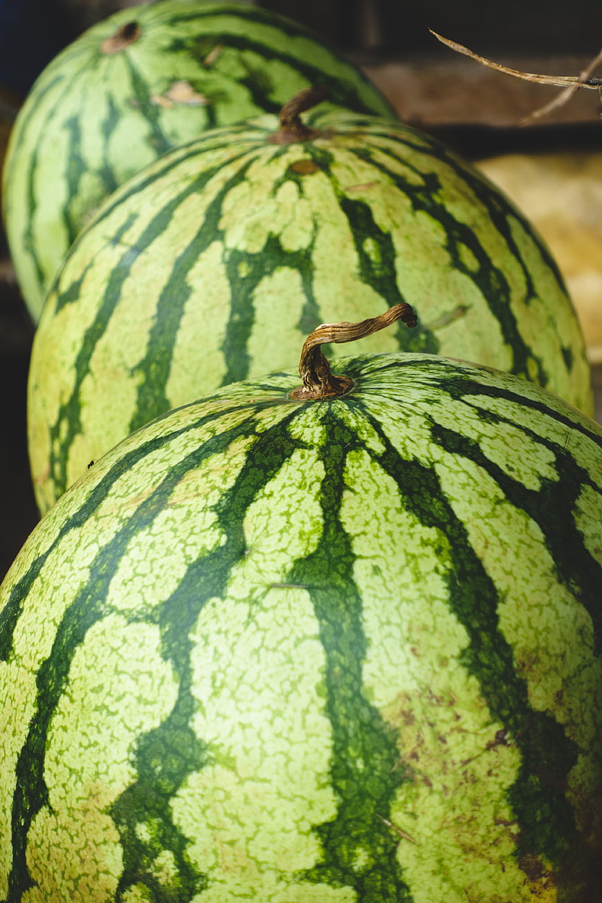 Close-up of fresh striped watermelons in a row