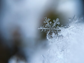 Macro Close-Up of Intricate Snowflake on Snow