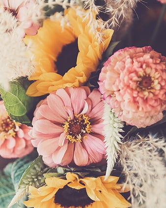 Close-up of Pink Zinnias and Yellow Sunflowers in Floral Arrangement