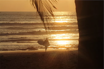 Silhouette of Surfer Walking on Beach at Golden Sunset