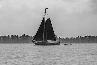 Black and white sailboat on calm lake with forest background
