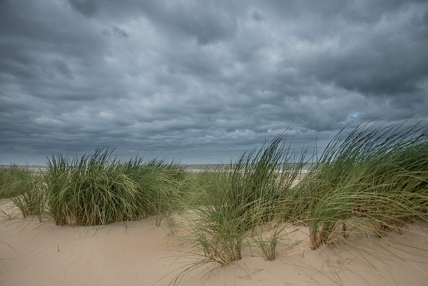 Dramatic storm clouds over coastal sand dunes and grass