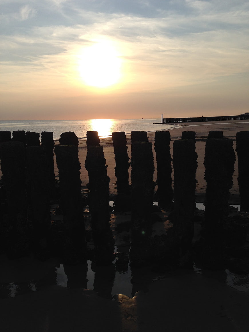 Silhouetted Wooden Pilings on Beach at Sunset