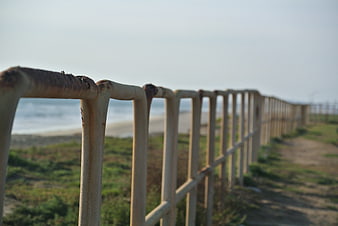 Rusty metal fence along a coastal path near the ocean
