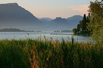 Serene Lake Landscape with Reeds, Mountains, and Sailboat