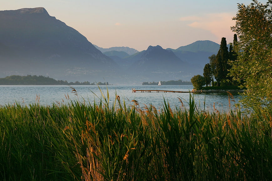 Serene Lake Landscape with Reeds, Mountains, and Sailboat
