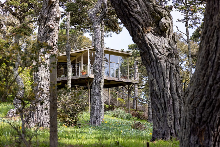 Modern elevated house nestled among tall pine trees in a forest
