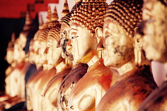 Row of Golden Buddha Statues in Thai Temple