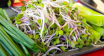 Fresh bean sprouts and green onions on a tray