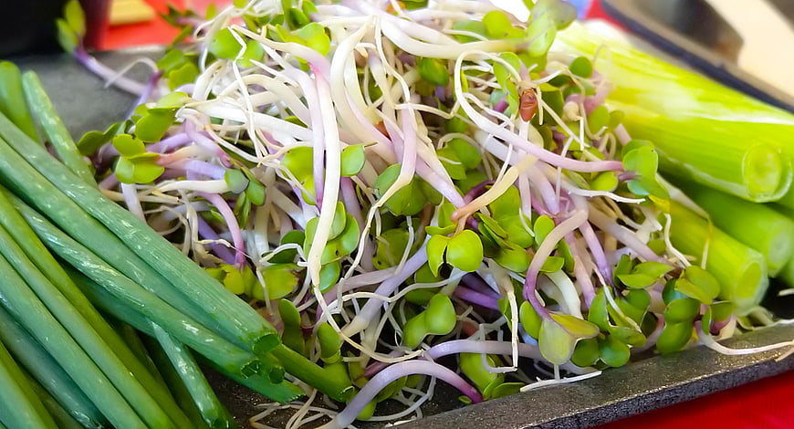 Fresh bean sprouts and green onions on a tray